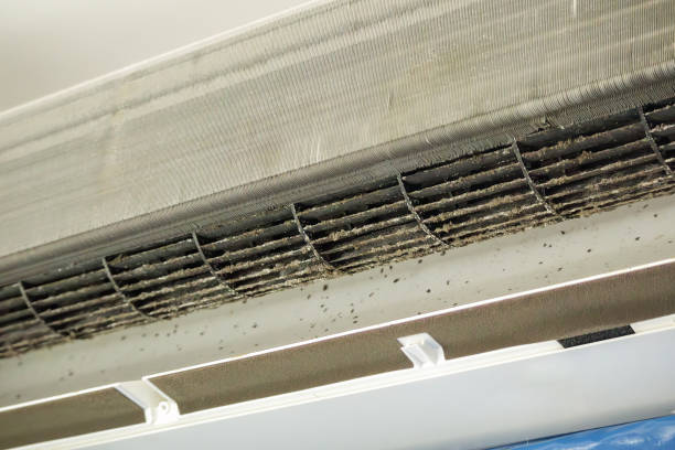 Best Commercial Air Duct Cleaning  in Heflin, AL